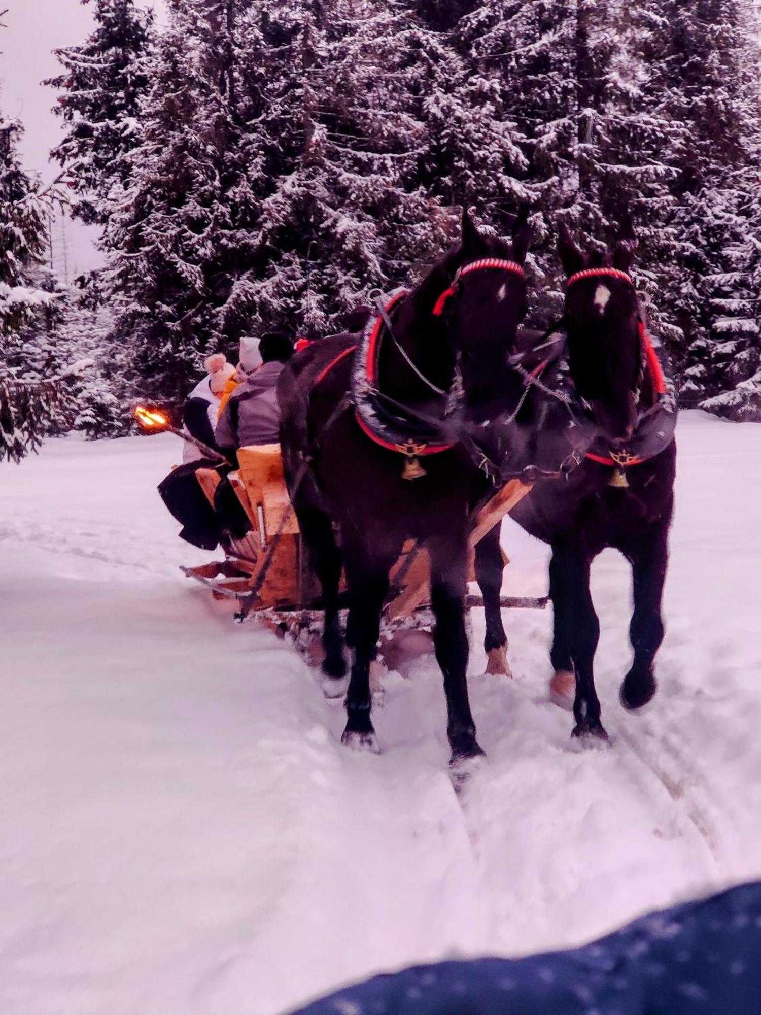 Eco Willa Karpatia Ski&Wellness Мужасихле Экстерьер фото