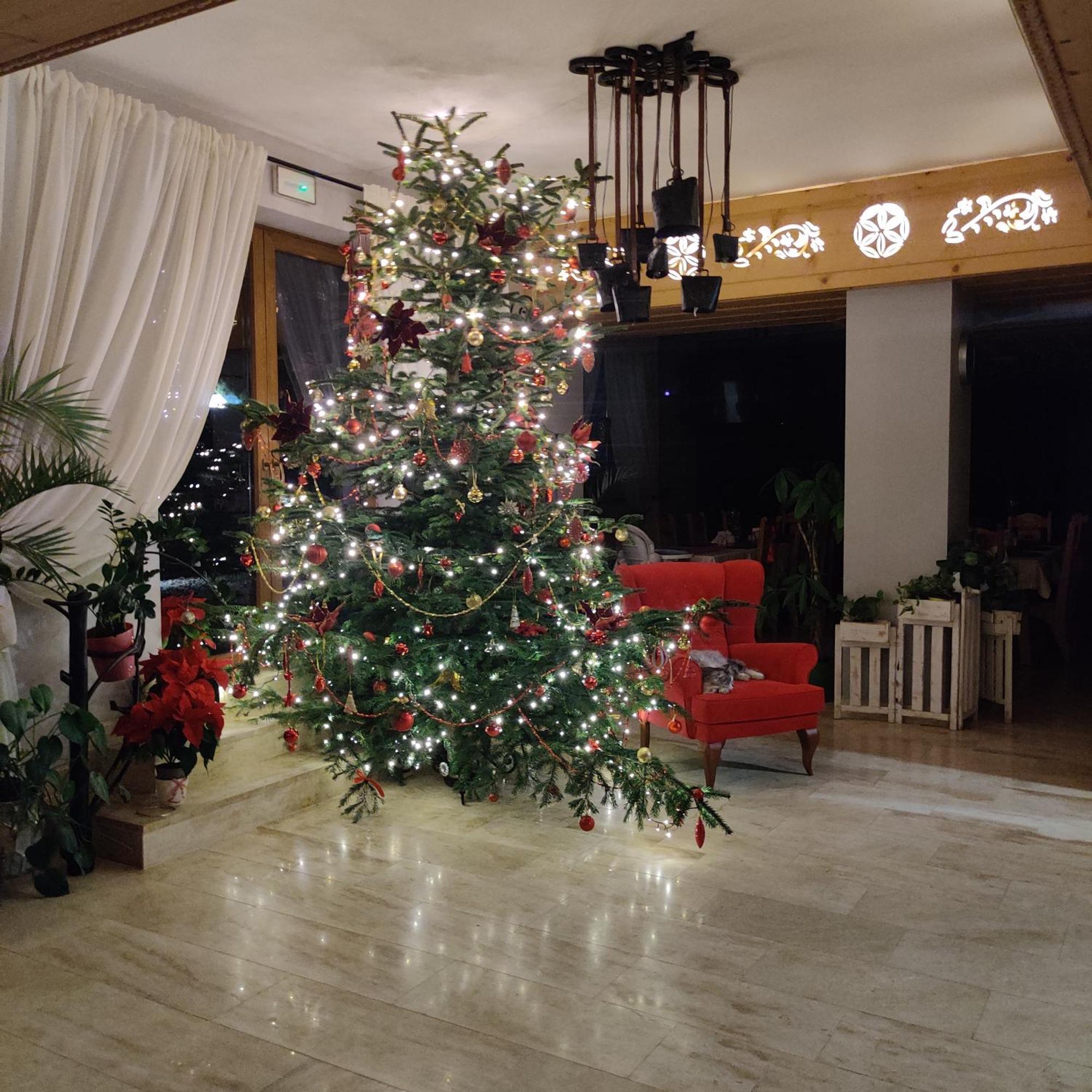 Eco Willa Karpatia Ski&Wellness Мужасихле Экстерьер фото