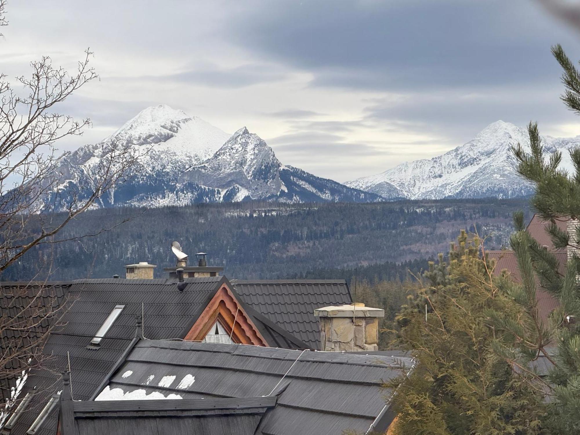 Eco Willa Karpatia Ski&Wellness Мужасихле Экстерьер фото