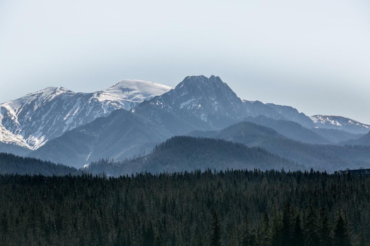 Eco Willa Karpatia Ski&Wellness Мужасихле Экстерьер фото